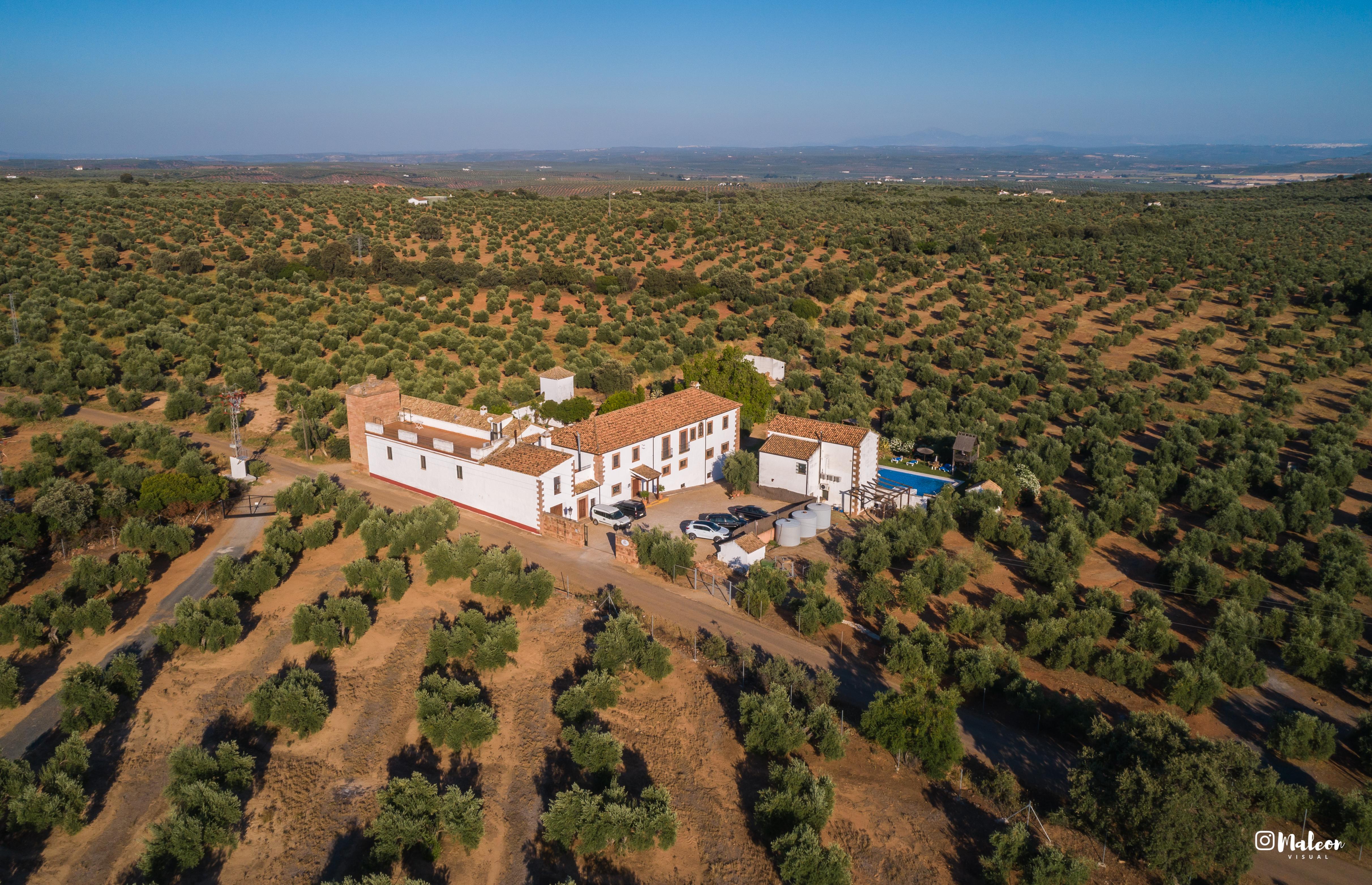 Maison d'hôtes Molino La Nava à Montoro Extérieur photo